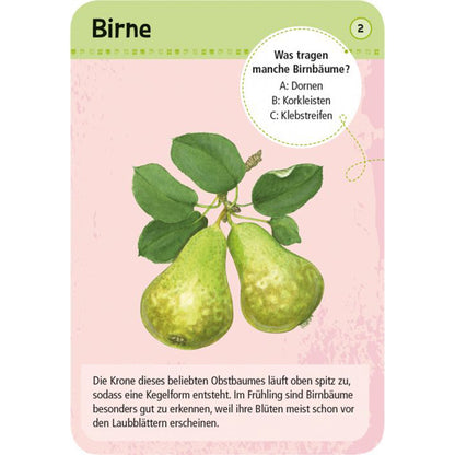 Karte Birne Vorderseite: Illustration von zwei Birnen mit grünen Blättern, pinker Hintergrund, Quizfrage &quot;Was tragen manche Birnbäume?&quot;