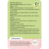 Karte Birne Rückseite: Detaillierte Informationen zur Birne (Pyrus communis) mit Text zu Blättern, Borke, Blüten, Früchten, Standorten und Besonderheiten.