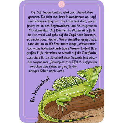 Karte mit Illustration einer grünen Echse (Stirnlappenbasilisk), Infotext über die Jesus-Echse und ihre Fähigkeit, übers Wasser zu laufen.