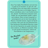 Karte mit Illustration eines Muschelkrebses, Text erklärt Biolumineszenz und „Spucke“-Leuchten der Männchen.