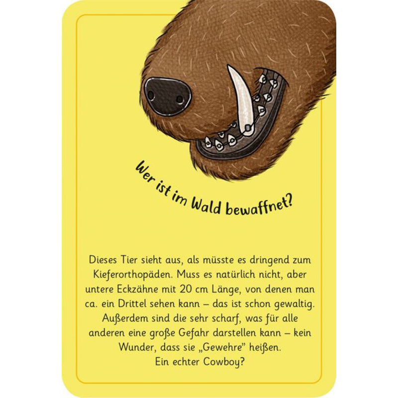 Rätselkarte mit der Frage „Wer ist im Wald bewaffnet?“ und Illustration einer Wildschweinschnauze mit Hauer auf gelbem Hintergrund.