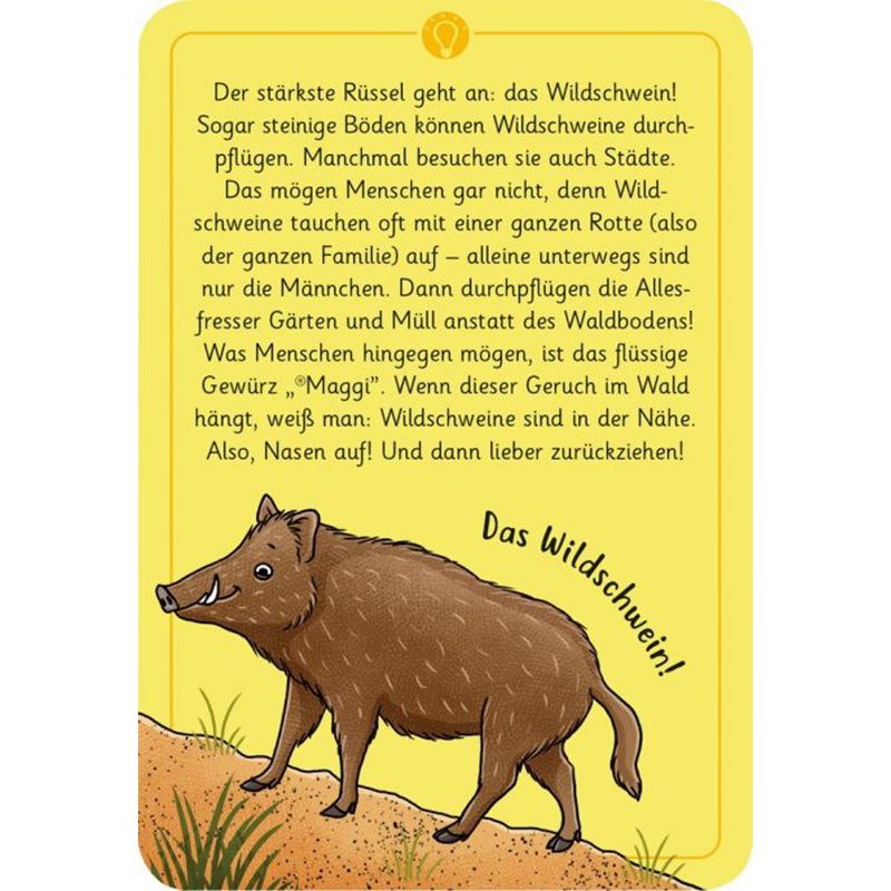 Auflösungs-Karte mit der Illustration eines Wildschweins und Text über seine Lebensweise, auf gelbem Hintergrund mit der Überschrift „Das Wildschwein!“.