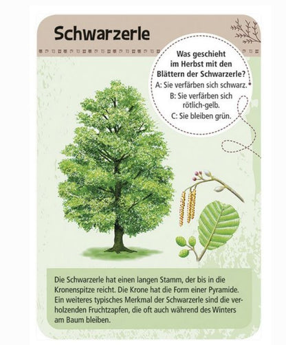 Entdeckerkarten: 50 heimische Bäume