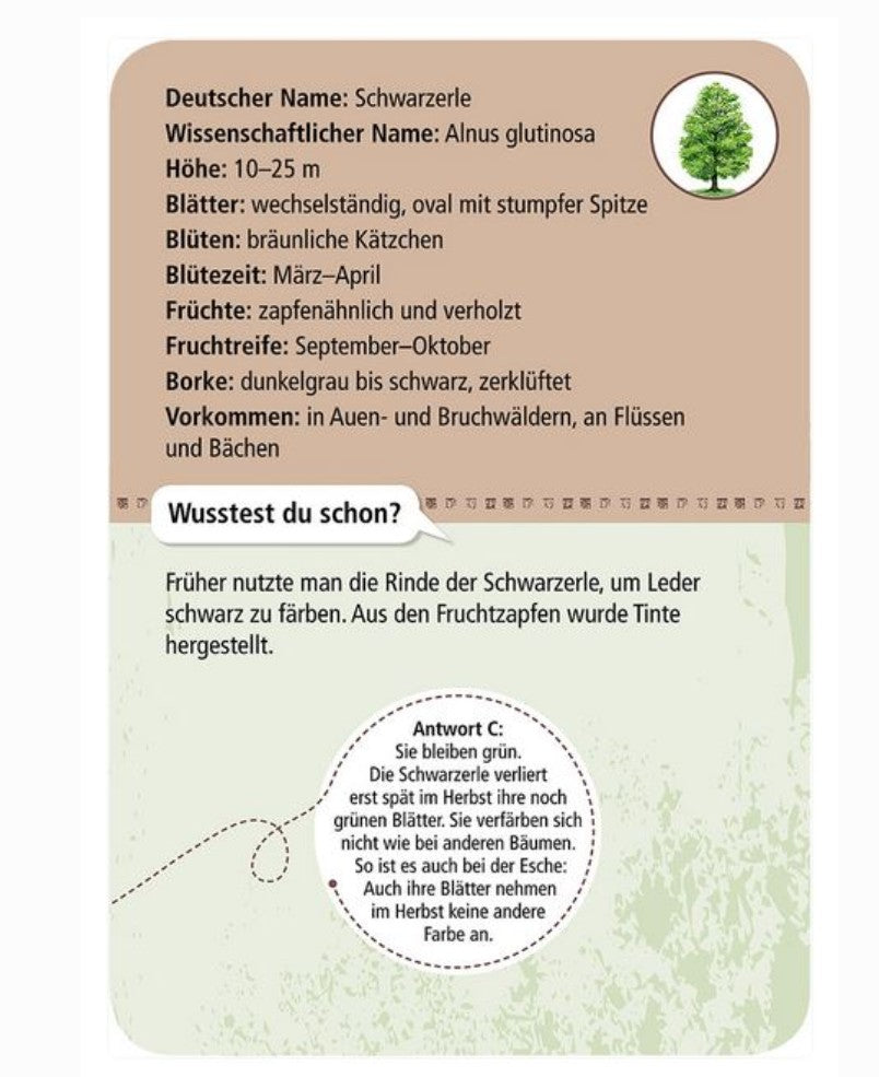 Entdeckerkarten: 50 heimische Bäume