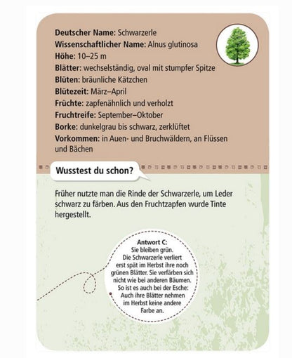 Entdeckerkarten: 50 heimische Bäume