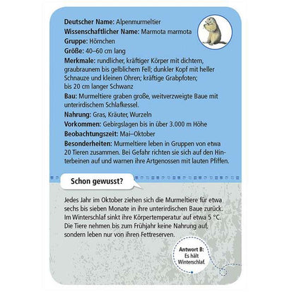 Kartenauswahl Alpenmurmeltier aus Kartenset, zeigt Rückseite der Infokarte Alpenmurmeltier mit Steckbrief des Tieres