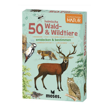 Kartenset 50 heimische Wald und wildtiere in geschlossener Box