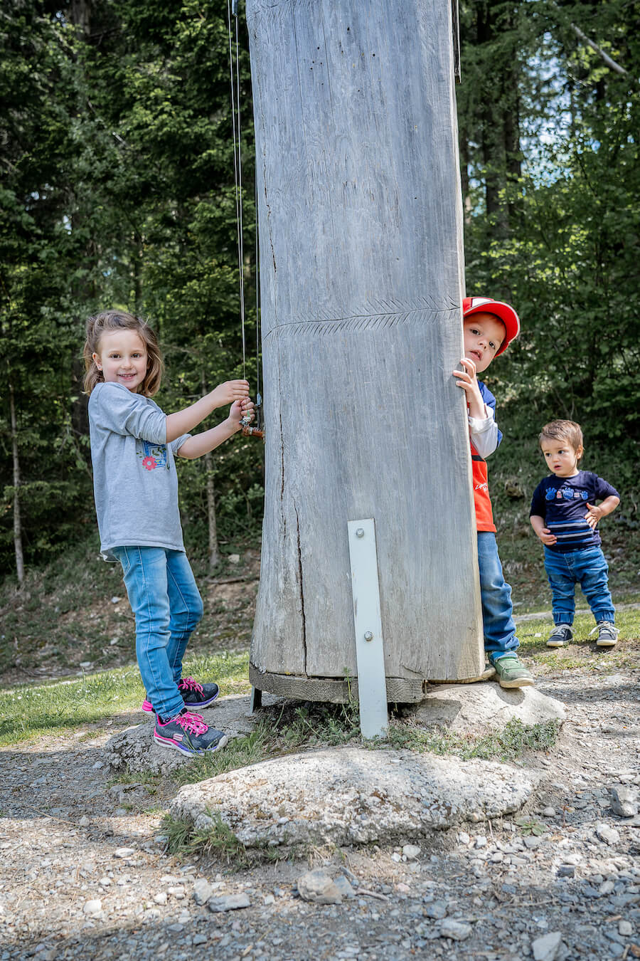 Ausflug Kindergarten hohler Baum - Waldpark Hochreiter