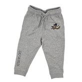 Vorderansicht einer grauen Bio-Baumwollhose für Kinder mit Waschbären-Motiv, zeigt bequemen Schnitt und elastischen Bund, auf weißem Hintergrund