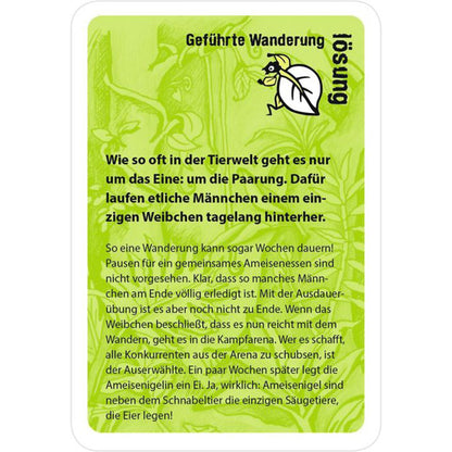 Lösungskarte „Geführte Wanderung“ mit Erklärung zur Paarung der Ameisenigel.