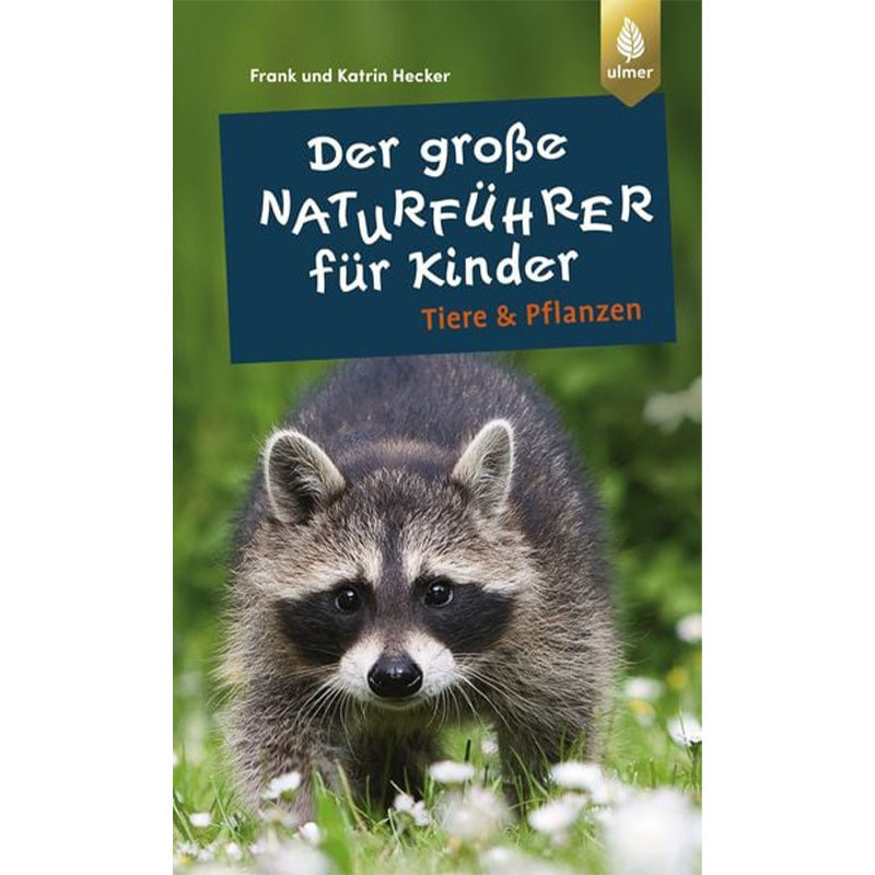 Buchcover von „Der große Naturführer für Kinder – Tiere &amp; Pflanzen“. Ein Waschbär steht im Gras und blickt neugierig nach vorne.