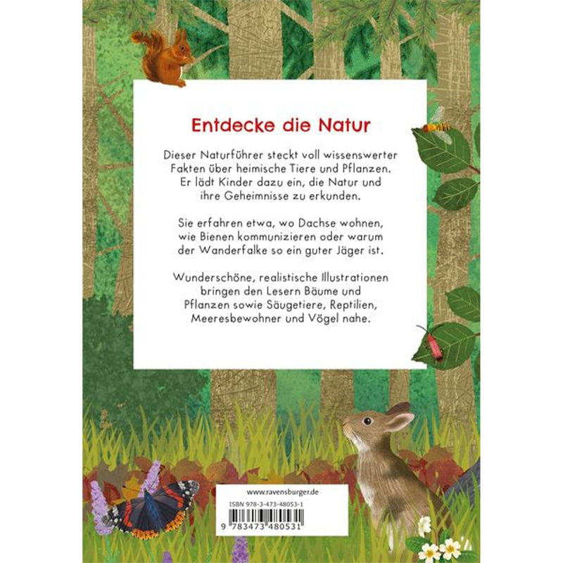 Buchrückseite. Beschreibung des Inhalts, Hintergrund Waldszene mit Eichhörnchen, Hase und Schmetterlingen.