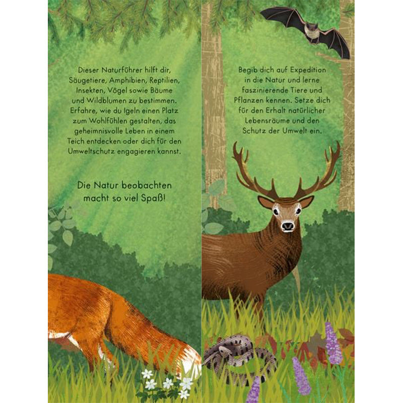 Innenseite – Expedition Natur. Illustration von Wildtieren wie Hirsch, Fledermaus und Fuchs, motivierende Naturtexte für Kinder.