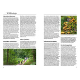 Doppelseite aus einem Buch über Waldökologie. Links Textabschnitte mit Titeln wie „Lehrreicher Lebensraum“, „Energiefluss im Ökosystem“ und „Aufbau und Abbau“. Unten ein Foto von Menschen, die in einer Gruppe durch einen Wald spazieren. Rechts weitere Textabschnitte wie „Lebensformen des Waldes“ und „Das Beziehungsgefüge“. Oben rechts ein Foto mit gelblichen Pilzen, die an einem Baumstumpf wachsen.
