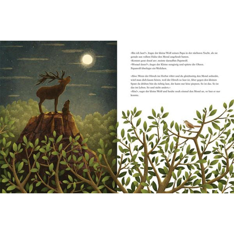 Eine nächtliche Szene mit einem Wolf und einem Hirsch auf einem Felsen, im Hintergrund der volle Mond. Der Papa erklärt, dass Stärke nicht immer im Größer- oder Lauter-Sein liegt – man kann auch leise und dennoch stark sein.