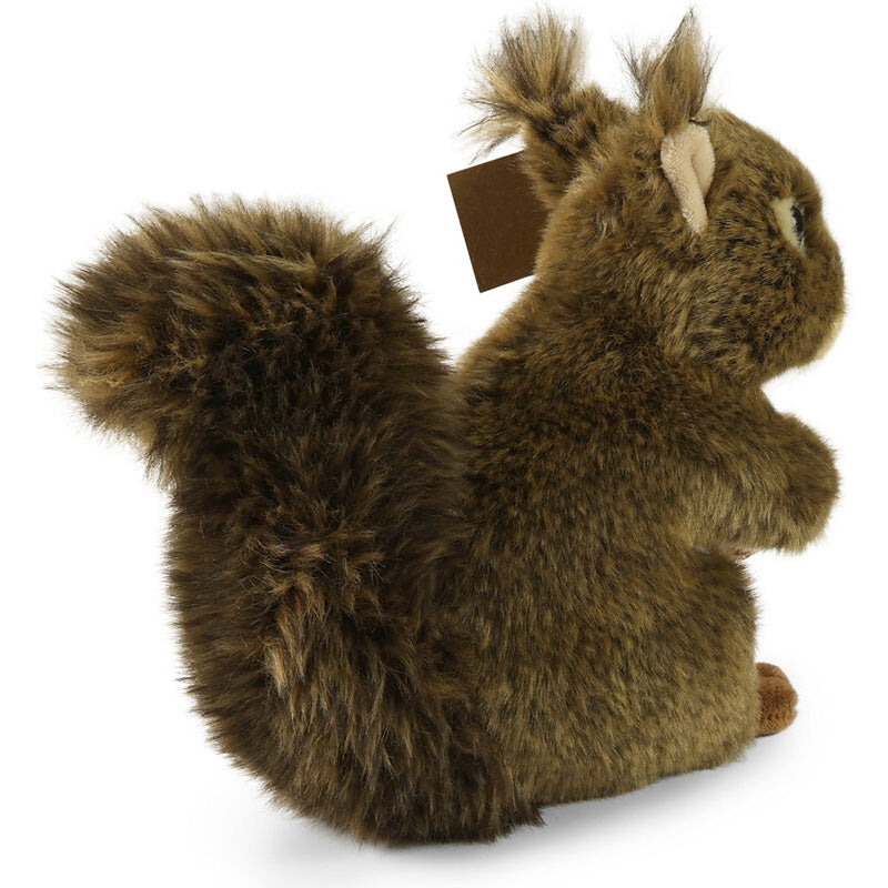 Rückansicht schräg (Schwanz dominiert, Eichhörnchen leicht seitlich).