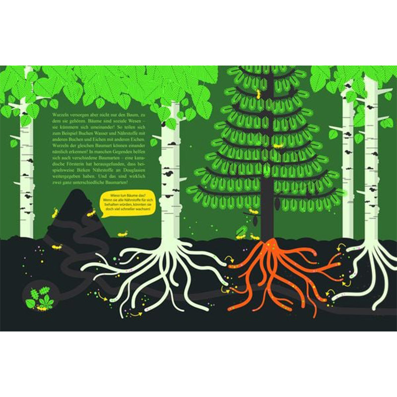 Buchseite. Illustration von mehreren Bäumen mit sichtbaren Wurzeln unter der Erde. Text erklärt, wie Baumwurzeln Wasser und Nährstoffe aufnehmen. Links ein Maulwurfshügel, rechts eine Fichte mit orangefarbenen Wurzeln.