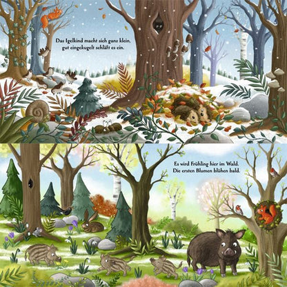 Oben: Winterwald mit schlafendem Igelkind im Blätternest.
Unten: Frühlingswald mit blühenden Blumen, Wildschweinen und einem Eichhörnchen.
