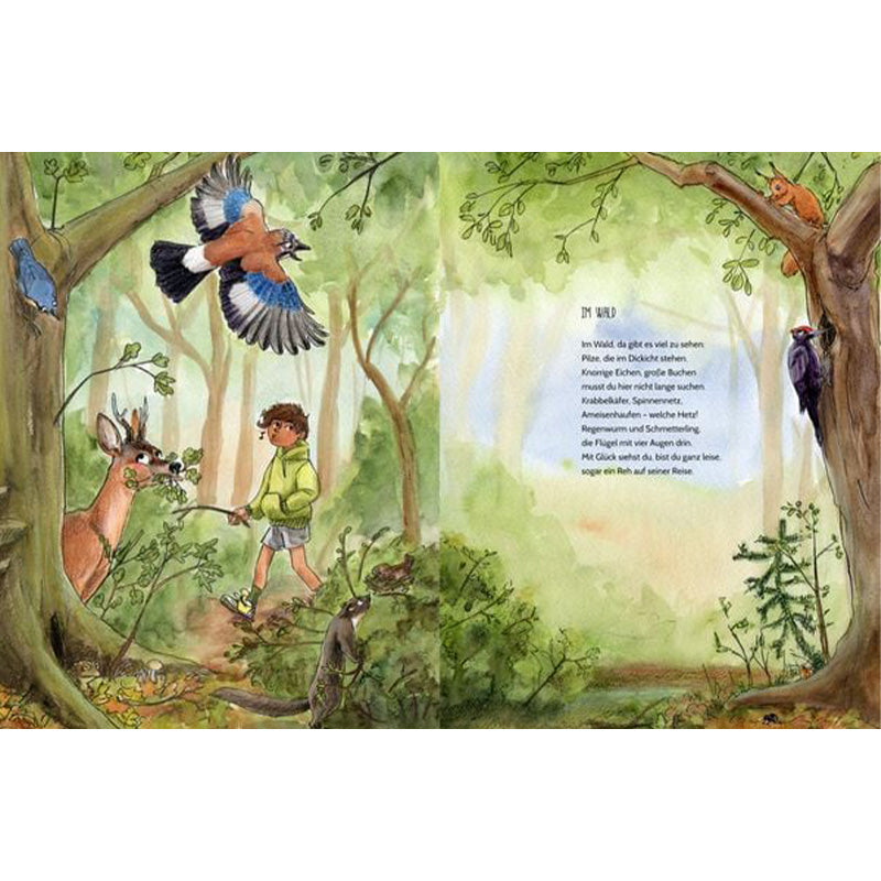 Buchseite: Ein Kind wandert durch den Wald, beobachtet Tiere wie Reh, Specht und Eichelhäher – der Text beschreibt, was es alles zu entdecken gibt.