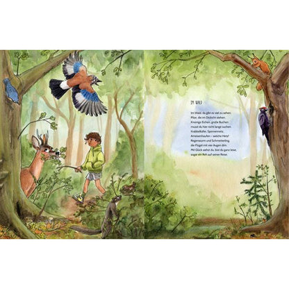 Buchseite: Ein Kind wandert durch den Wald, beobachtet Tiere wie Reh, Specht und Eichelhäher – der Text beschreibt, was es alles zu entdecken gibt.