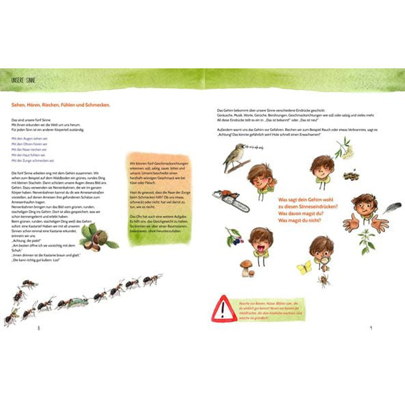 Buchseite: Doppelseite über die menschlichen Sinne – Sehen, Hören, Riechen, Fühlen und Schmecken – mit kleinen Zeichnungen, Tieren und erklärenden Texten.