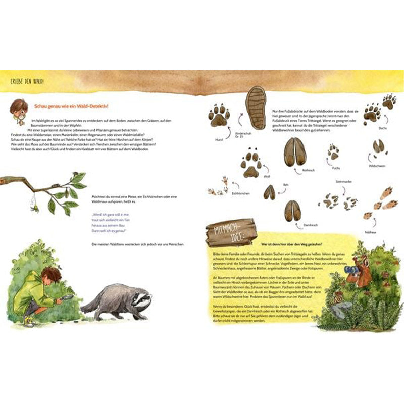 Buchseite: Eine Mitmachseite über das Entdecken von Tierspuren – zeigt Tierpfotenabdrücke von Dachs, Reh, Eichhörnchen und Fuchs sowie Tipps zum Walderkunden.