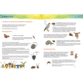 Buchseite: Erklärseite über die Supersinne der Waldbewohner – illustriert mit Tieren wie Eule, Insekt, Hase und zeigt, wie sie sehen, fühlen und hören.