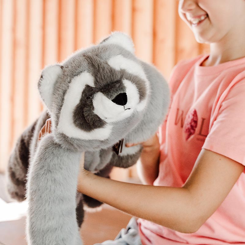 Gewichtskuscheltier Waschbär