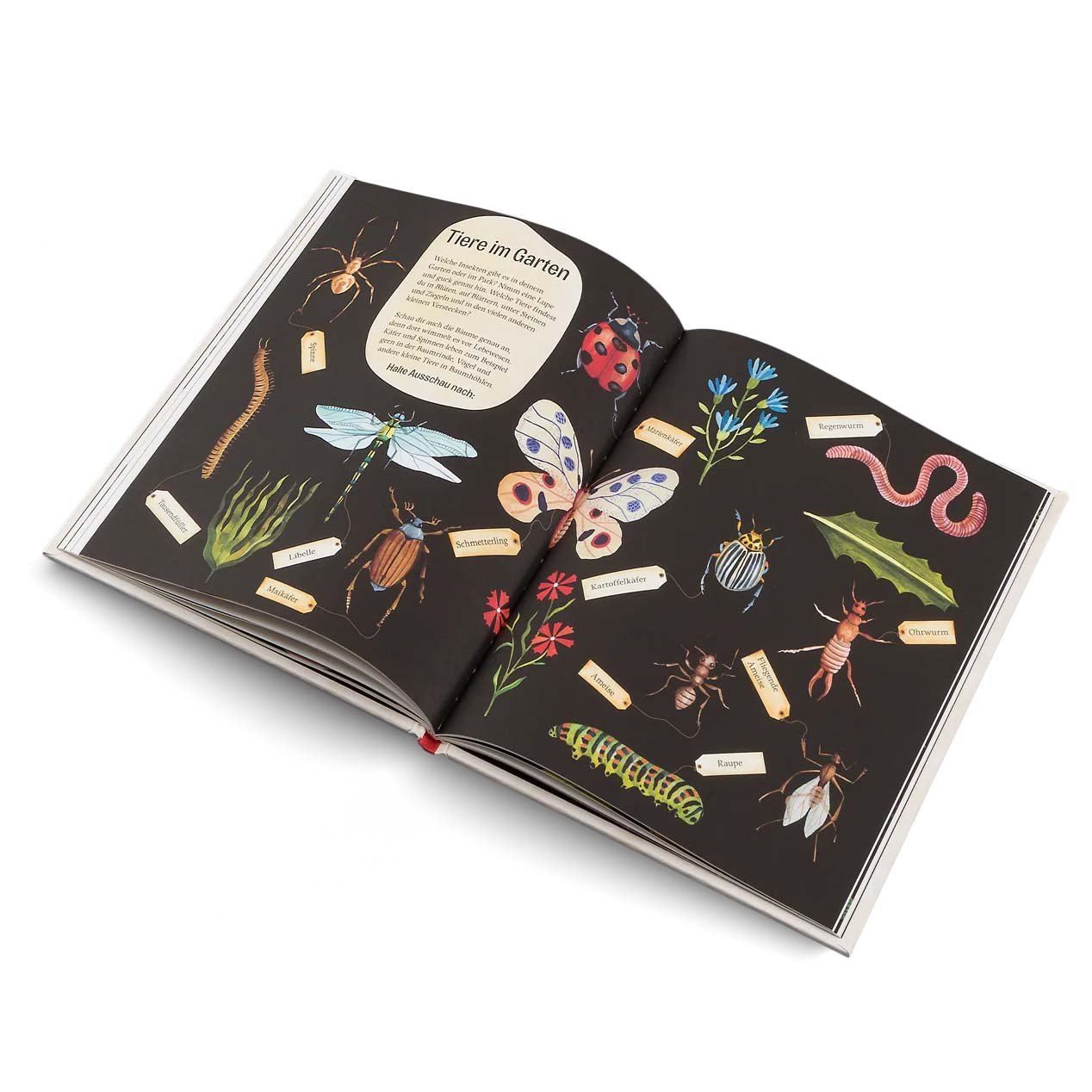 Innenseite aus dem Buch &quot;Grüner wird&