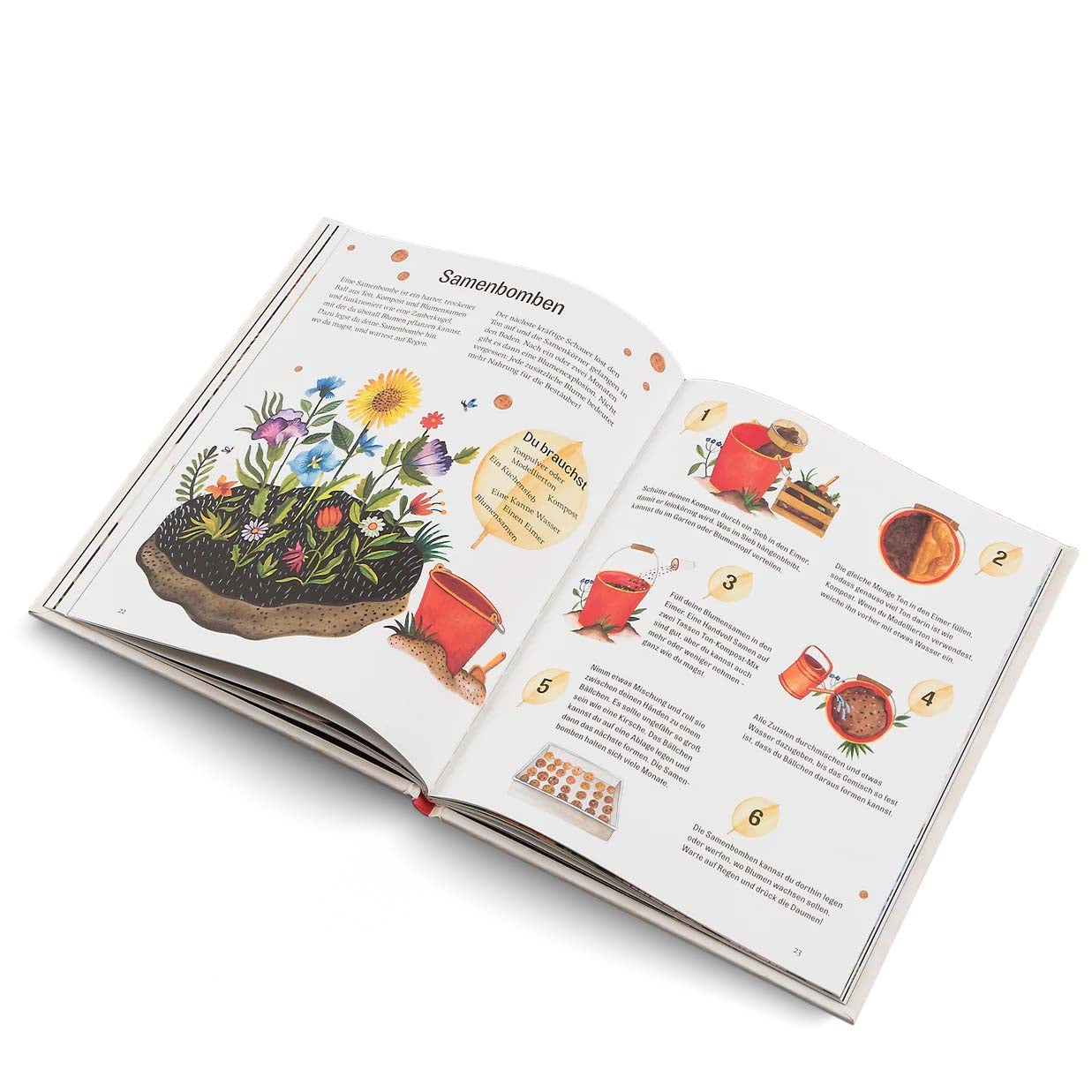 Innenseite des Buchen &quot;Grüner wird&