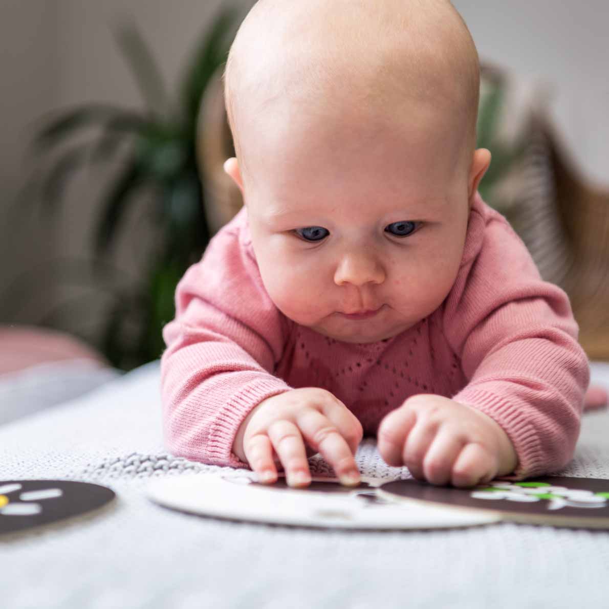 Babys lernen sich zu konzentrieren und Unterschiede wahrzunehmen mit den Kontrastkarten