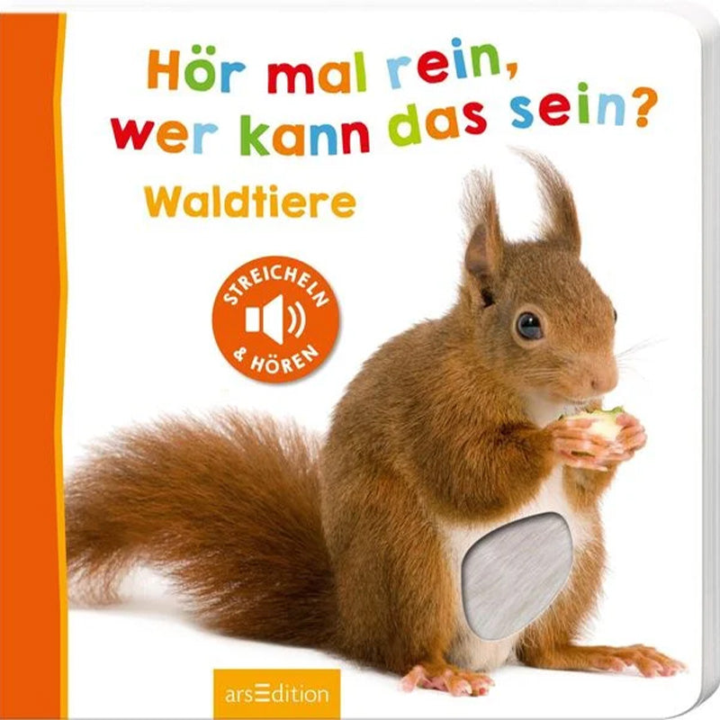 Buchcover von „Hör mal rein, wer kann das sein? – Waldtiere“. Ein echtes Foto eines roten Eichhörnchens mit flauschigem Schwanz, das eine Nuss frisst. Auf dem Bauch hat es ein graues Fellelement zum Streicheln. Soundbuch mit Tiergeräuschen.