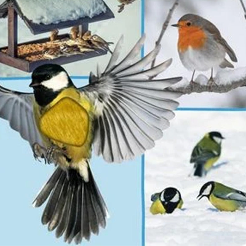 Buchseite: Spatzen im Winter mit Fühlstelle gelb