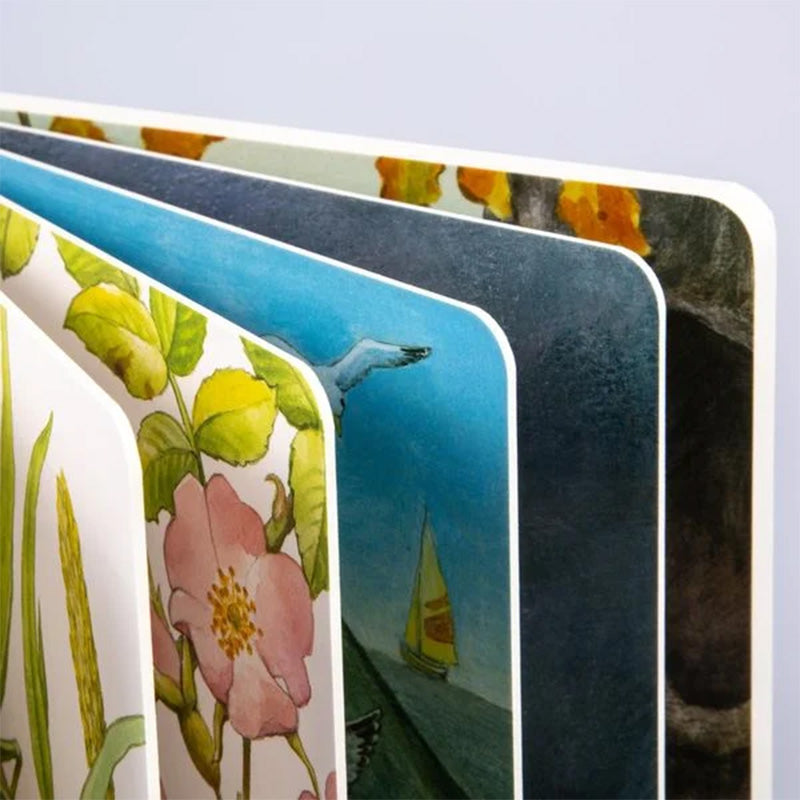 Nahaufnahme eines aufgeschlagenen Kinder-Pappbilderbuchs mit dicken, abgerundeten Seiten. Zu sehen sind farbenfrohe Illustrationen: Blätter und eine rosa Blüte, ein Segelboot auf dem Meer mit einer Möwe, sowie herbstliche Szenen mit Bäumen und buntem Laub.
