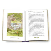 Aufgeschlagenes Kinderbuch Hörnchen & Bär – Eine Flussfahrt und andere spritzige Geschichten. Links eine farbige Illustration mit Boot auf dem Wasser, rechts Textseite mit Erzählung