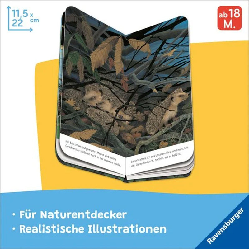 Illustration von kleinen Igeln in einem Nest unter Ästen bei Nacht, darunter Text mit Erzählung, blaue Fläche mit Aufschrift Für Naturentdecker und Realistische Illustrationen, Ravensburger Logo
