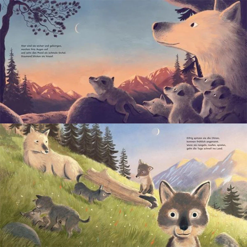 Doppelseite aus dem Buch. Oben liegt die Wolfsfamilie auf einem Felsen und schaut in den Sonnenuntergang, unten spielen die kleinen Wölfe auf einer grünen Wiese mit Blumen, während die Mutter sie beobachtet.