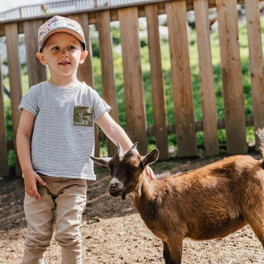 Junge streichelt Ziege