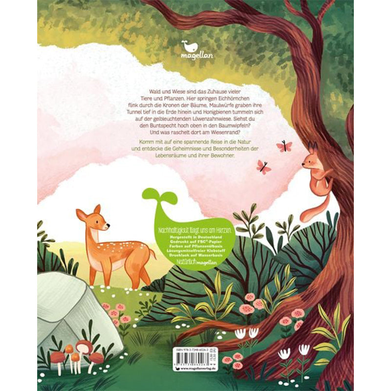 Kleine Geheimnisse der Natur - Wald und Wiese