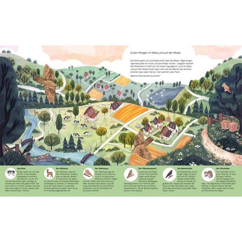 Kleine Geheimnisse der Natur - Wald und Wiese