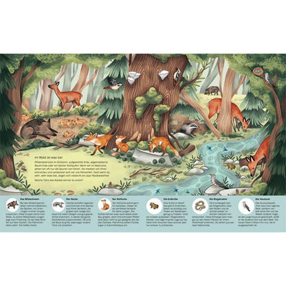 Kleine Geheimnisse der Natur - Wald und Wiese