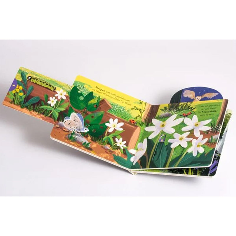 Buchseite. Aufklappbare Doppelseite mit Waldszene und weißen Blumen, Raupe und Schmetterling.