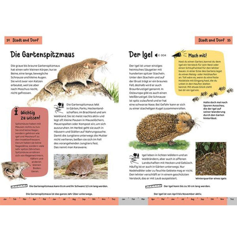Beispielseiten – Steckbriefe zur Gartenspitzmaus und dem Igel mit spannenden Infos, Bildern und Mitmach-Ideen.
