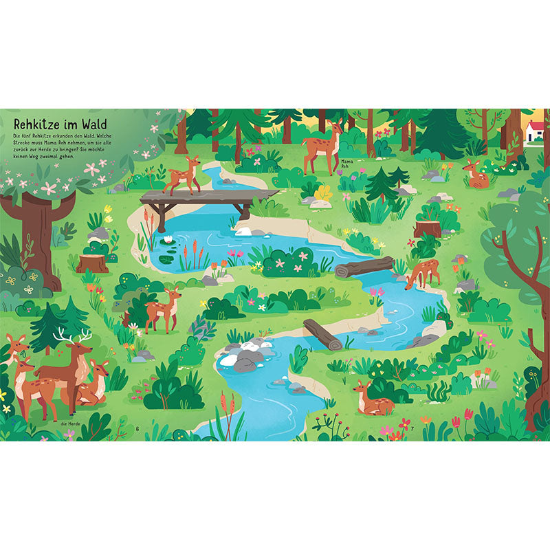 Innenseite mit Rehkitzen
– Illustration eines Waldes mit einem Bachlauf, Brücken, Rehen und Rehkitzen, die zwischen Bäumen und Wiesen spielen oder trinken.