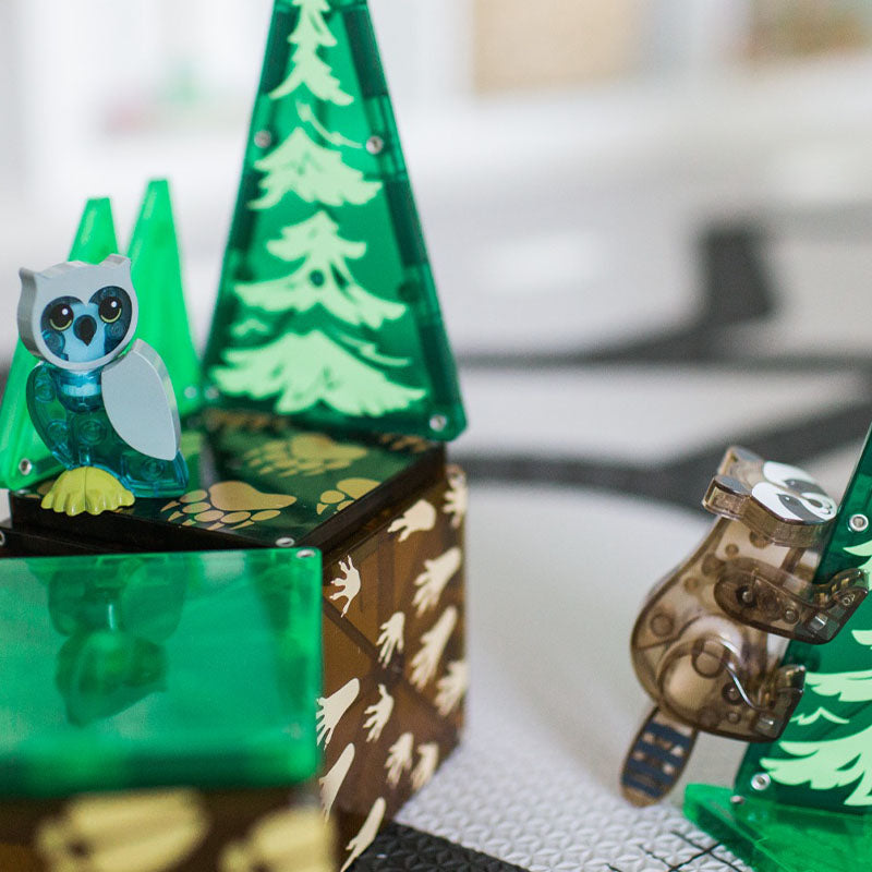 Detailaufnahme einer Eule auf einer grünen Magnetplatte, daneben ein Waschbär.