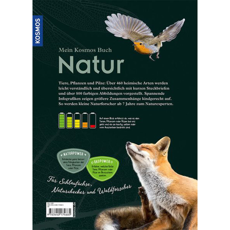 Buchrückseite „Mein Kosmos Buch Natur“ – ein Fuchs liegt unten im Bild, oben fliegt ein Vogel, Textbeschreibung zum Inhalt.