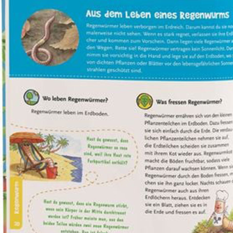 Buchseite. Sachinformationen über Regenwürmer mit Bild eines Regenwurms und kleinen Illustrationen zum Thema Lebensraum und Ernährung.