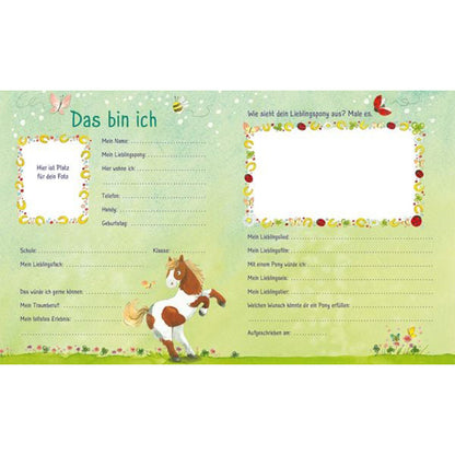 Meine Freunde Ponys Freundebuch – Doppelseite zum Ausfüllen mit Pony-Illustration auf grünem Hintergrund