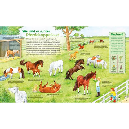 Doppelseite „Wie sieht es auf der Pferdekoppel aus?“ – erklärt das Sozialverhalten, die Bewegungsfreude und Lebensweise von Pferden und Ponys.