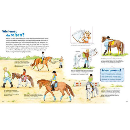 Seite „Wie lernst du reiten?“ – beschreibt spielerisch den Reitunterricht, die richtige Haltung, Ausrüstung und den Umgang mit dem Pferd.